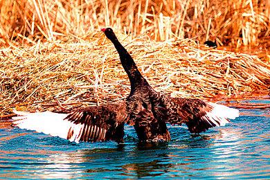 《赛博朋克2077》支线任务出色原因：设计师只选最好的